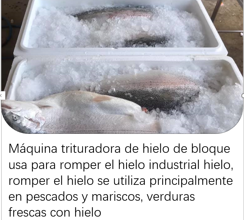 50kg 100kg Trituradora de hielo de bloques industriales Focusun rendimiento eficiente
