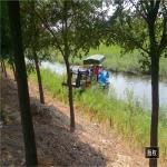 River Rubbish 2500MM Aquatic Weed Harvester Plant Lettuce Water Hyacinth
