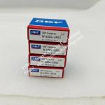 Deep Groove Ball Bearings W6004 2RS1