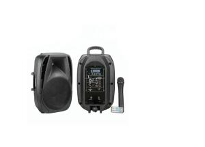China LED Radio Powerful Portable Speakers Trolley Speaker wholesale