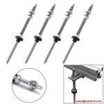 Solar Fastener Stainless Steel Solar Ground/Roof Mount Hanger Bolts