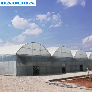 China Steel Structure Polythene Grow Tunnel For Tomato And Cucumber wholesale