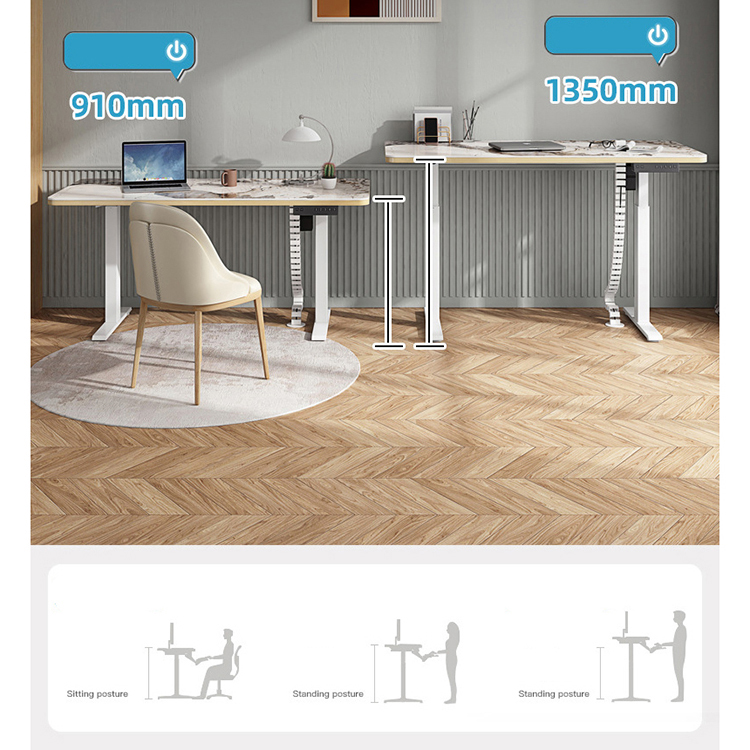 Multi-Function Adjustable Table 's Ergonomic Office Desk with 2 Stage Lifting
