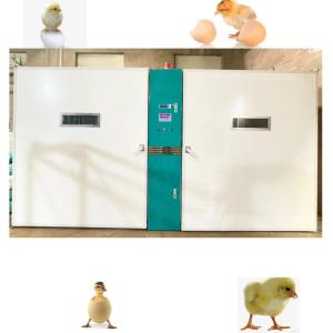 China Big Farm Chicken Egg Hatching Machine Large Scale 19200 Capacity wholesale
