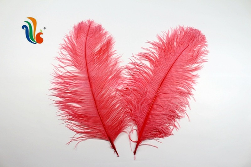40-45cm Ostrich Feather Plumes For Event Party Supplies Decorations