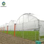 Elliptical Pepper 8.0m Plastic Polyethylene Film Greenhouse