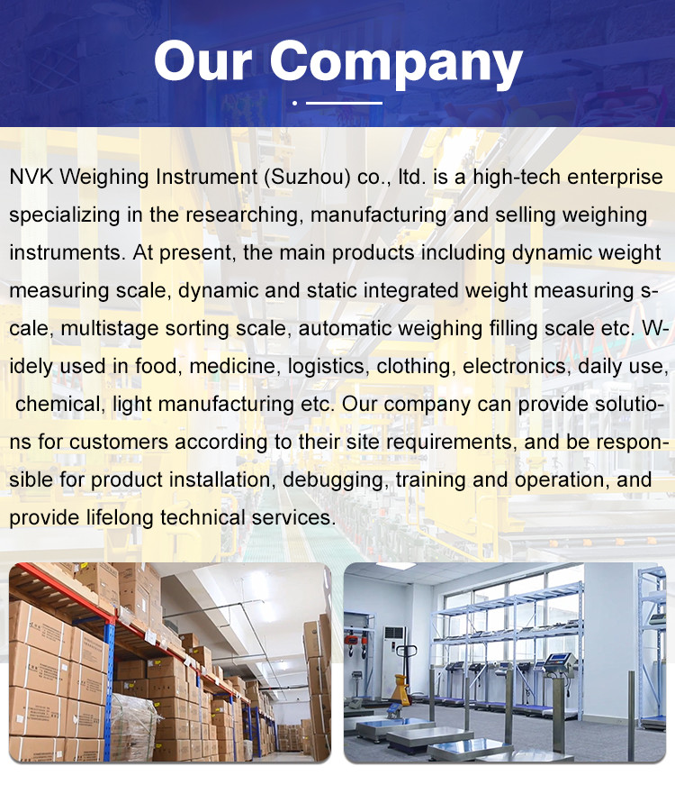 NVK OCS-G Direct View Weighing Crane Scale High Temperature Resistance Hanging Crane Scale with Handheld