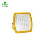 IEC explosion-proof LED light fittings