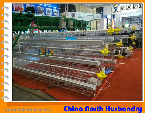 Cage systems and other equipment for poultry farmers of all sizes