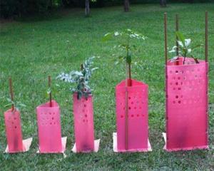 China Waterproof Corrugated Plastic Tree Guards Wrap 2mm wholesale