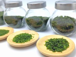 China OEM Aonori Dried Green Seaweed Ulva Nori Customizable Packaging And Size wholesale