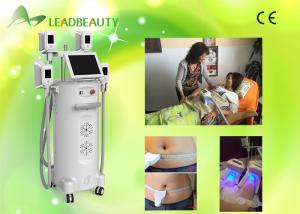 China Freeze fat off machine cryo vacuum slimming cryolipolysie machine wholesale
