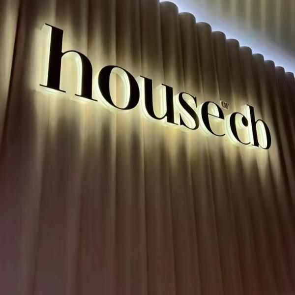 Stainless Steel LED Backlit Snow Business Wall Logo for Indoor and Outdoor