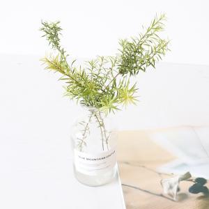 China OEM 25cm Small Twig Melaleuca bracteata Dried Flower Bunches wholesale