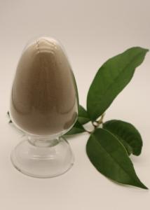China Defatted Black Soldier Fly Protein Powder FDA GMP+ wholesale