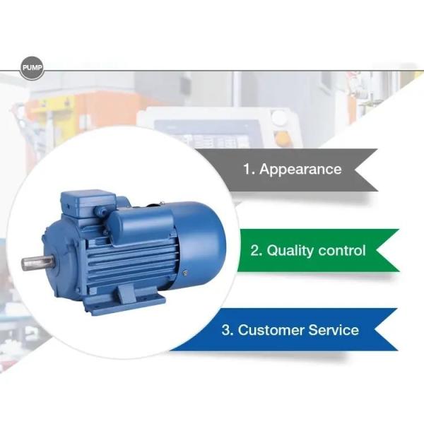 Single Phase AC Induction Motor