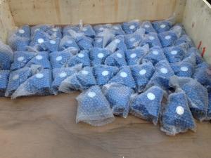 China ANSI y strainer flanged ends wholesale