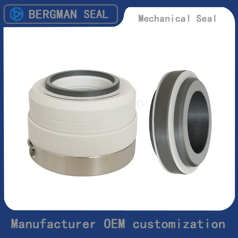 Original WB2-25/30/35/40/45/50/55/60/65/70/80mm Corrosion Resistant Chemicals Pump Mechanical Seal
