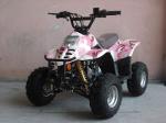 ATV products 110cc,125cc