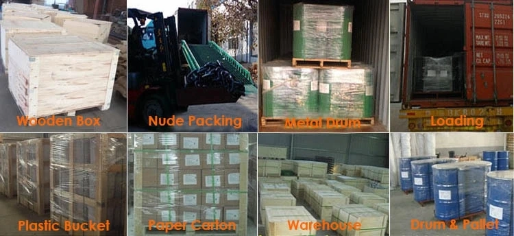 Rigging Hardware Forging Parts Us Type G210 G209 G2150 G2130 Die Forging Marine Stainless Teel Forged Chain Lifting Shackle D Shackle Bow Shackle Anchor Shackle
