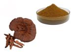 50% Purity Ganoderma Lucidum Reishi Mushroom Extract Powder