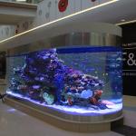 High Transmissive 95% PMMA Aquarium Acrylic Sheet 2000*3000mm