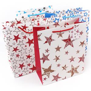 China Laides clothes garment art paper bag soft shoes packaging bags logo printed wholesale