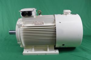 China YVFE3 280S-2 75kW IP55 380 Volt Variable Frequency Motor 2980RPM wholesale