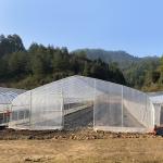 Polyethylene Film Greenhouse Agritulture Tunnel Plastic Greenhouse For Plant