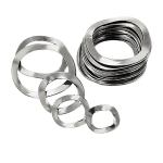 M3M4M5M6M8M10M12M14M16M18M20M22M24M27m30 A2/A4 Alloy Steel 65mn Wave Spring