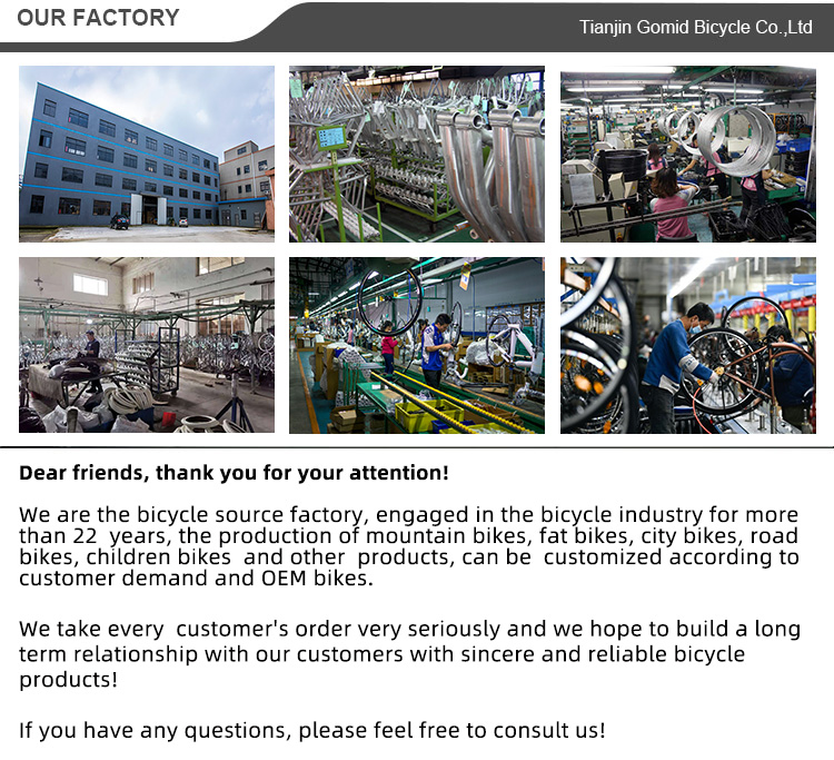 OEM MTB Spoked Wheel Aluminium Alloy Mountainbike Simulated Carbon Fiber Frame 29 Inch Bicycle Suitable for Man Cycling
