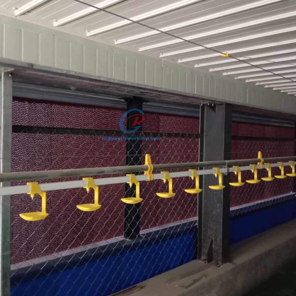 Durable Steel Structures Manufacturing Custom Galvanized Steel Livestock