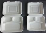 9 inch Outdoors Takeaway Food Containers Disposable Lunch Biodegradable