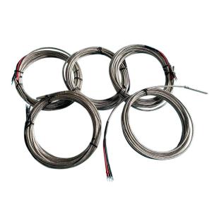 China SS304 Sheath RTD Thermocouple Wire Compensation Insulated wholesale
