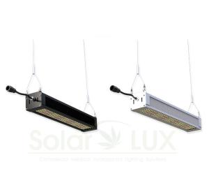 China IP66 Full Spectrum Samsung LM301H Horticulture LED Grow Lights wholesale