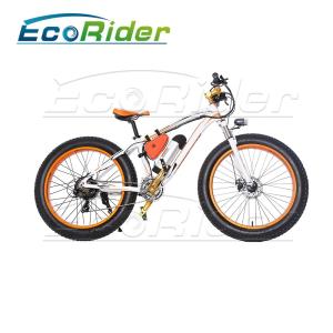China Electrostatic Painting Process folding Electric Bicycle Aluminium Alloy 36V 250W wholesale