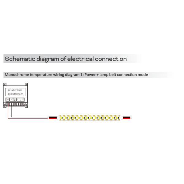 24V Single Lamp Single Cut High Lumen LED Strip Lights 2700K 3000K 4000K 6500K 120° 24V