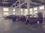 Flat Type Pharmaceutical Blister Packaging Machines , Automatic Blister Pack