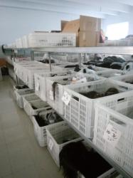 Zhengzhou Amour Hair Product Co.LTD