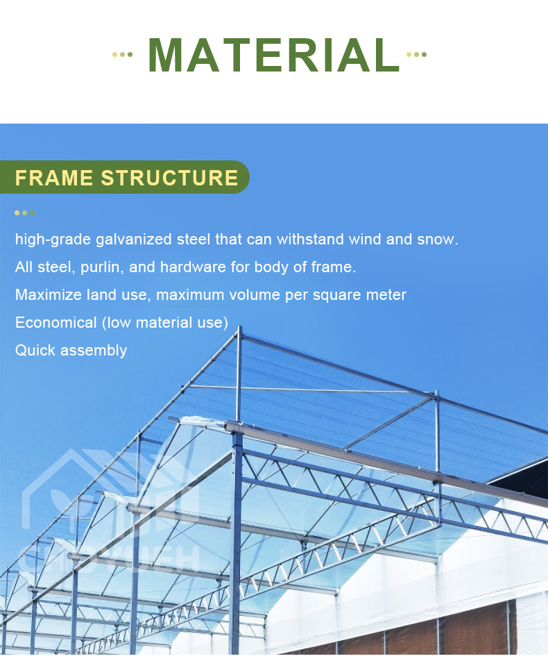 Double Layer PE Film Multi Span Film Greenhouse With Hydroponic System