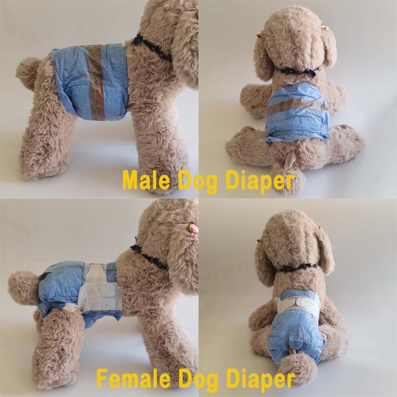 Male Puppy Training Absorbent Diaper Pads with SAP and Advantage of Humidity Indicator