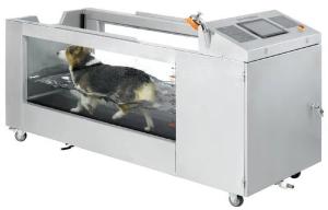 China SGS 3HP Dog Water Hydrotherapy Treadmill speed adjustable wholesale