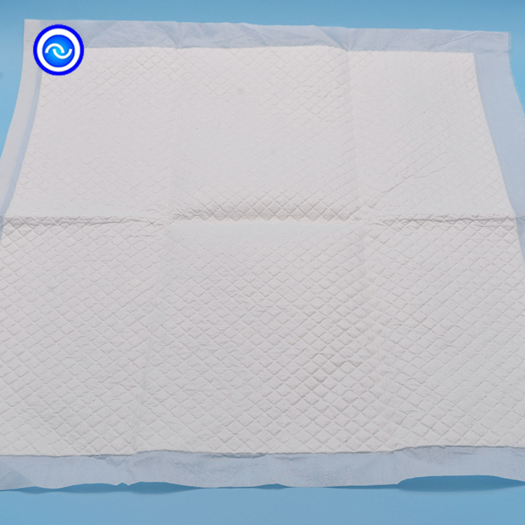 Freely Samples Offered Biodegradable Dog Puppy Extra Large Pet Cat Dog Training Puppy Pads