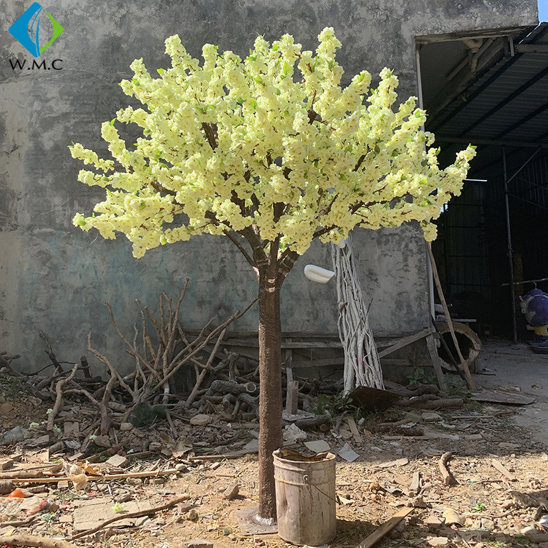 T201022 yellow cherry tree.jpg