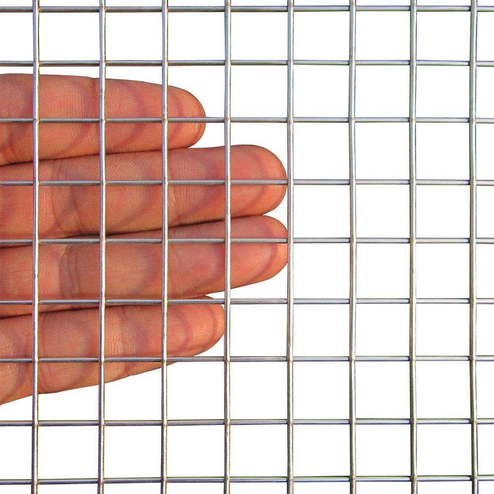 Factory good price 1/2" welded wire mesh roll