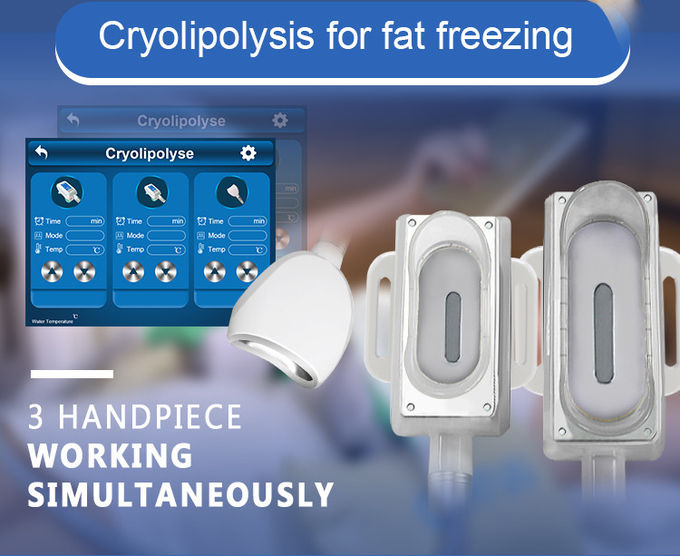 Non Invasive Multifunction Cavitation RF Lipolaser Cryolipolysis Slimming Machine