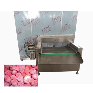 China SUS304 Fish Food Freezing Machine 1500KG/H Iqf Tunnel Freezer wholesale