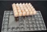 Eco Friendly 30 Count Egg Flats 32.5cm Plastic Blister Tray In PET Film