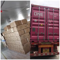 Changshu Inuo Cleaning Commodity Co., Ltd.