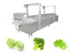Automatic Food Precooking Vegetable Blanching and Cooking Machine